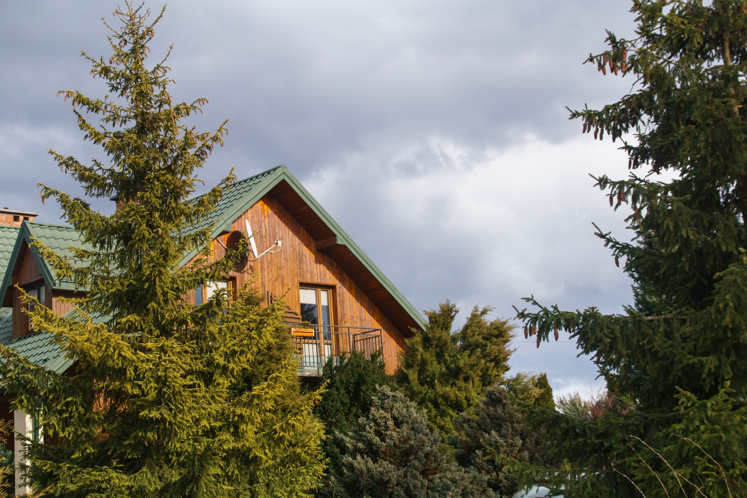 Maison bois passive sapins arbres verts